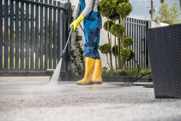 Best Driveway Pressure Washing  in Cary, IL